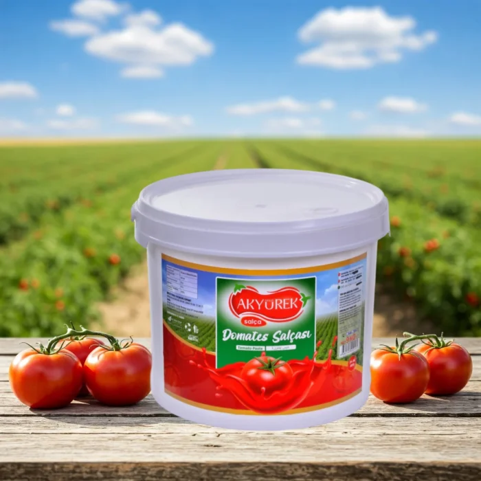 Domates Salçası 9 kg Kova - Görsel 1